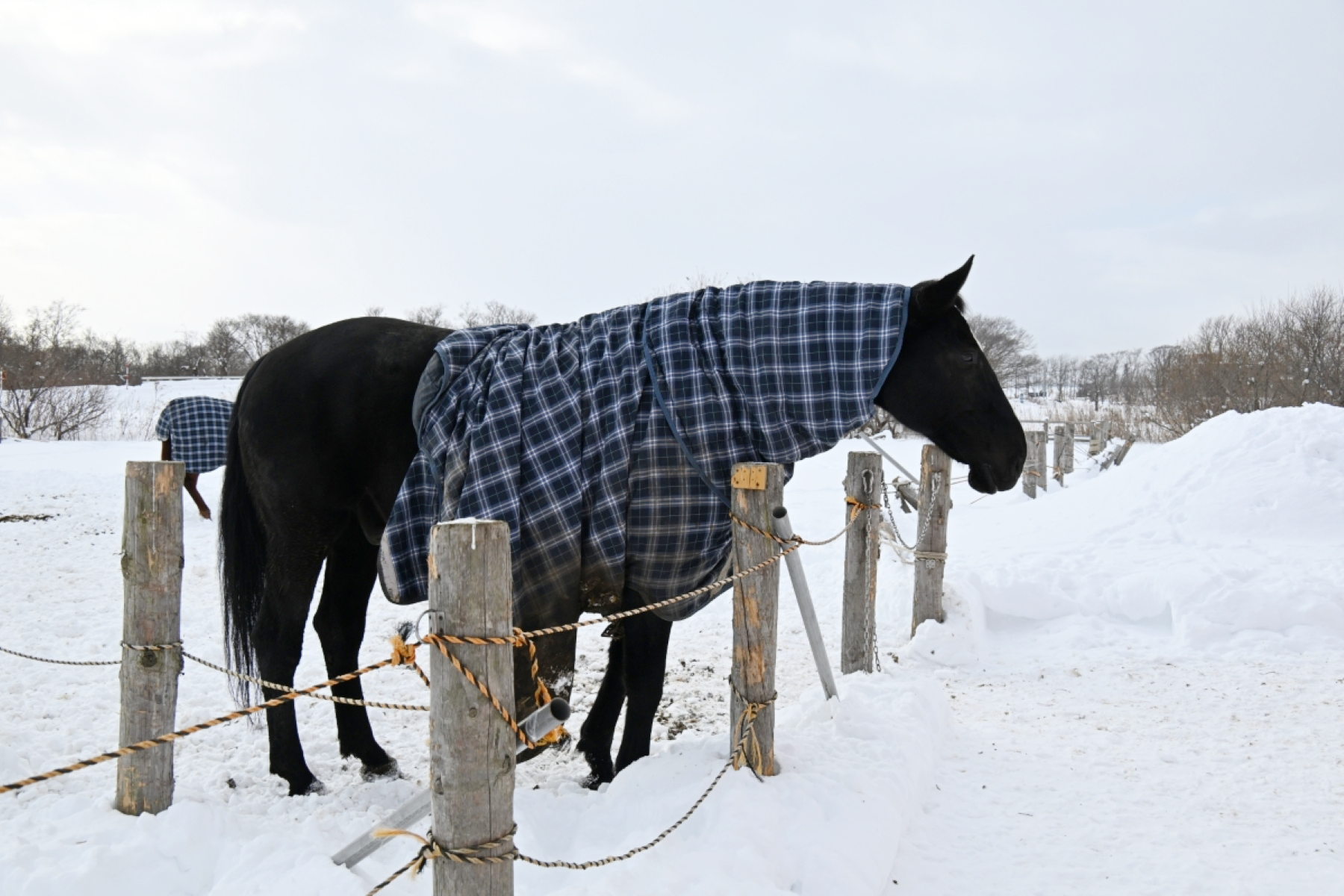 fa7f63c7ff68b35eff9503771a8ce97d-1771508545.png fa7f63c7ff68b35eff9503771a8ce97d-1771508545.png